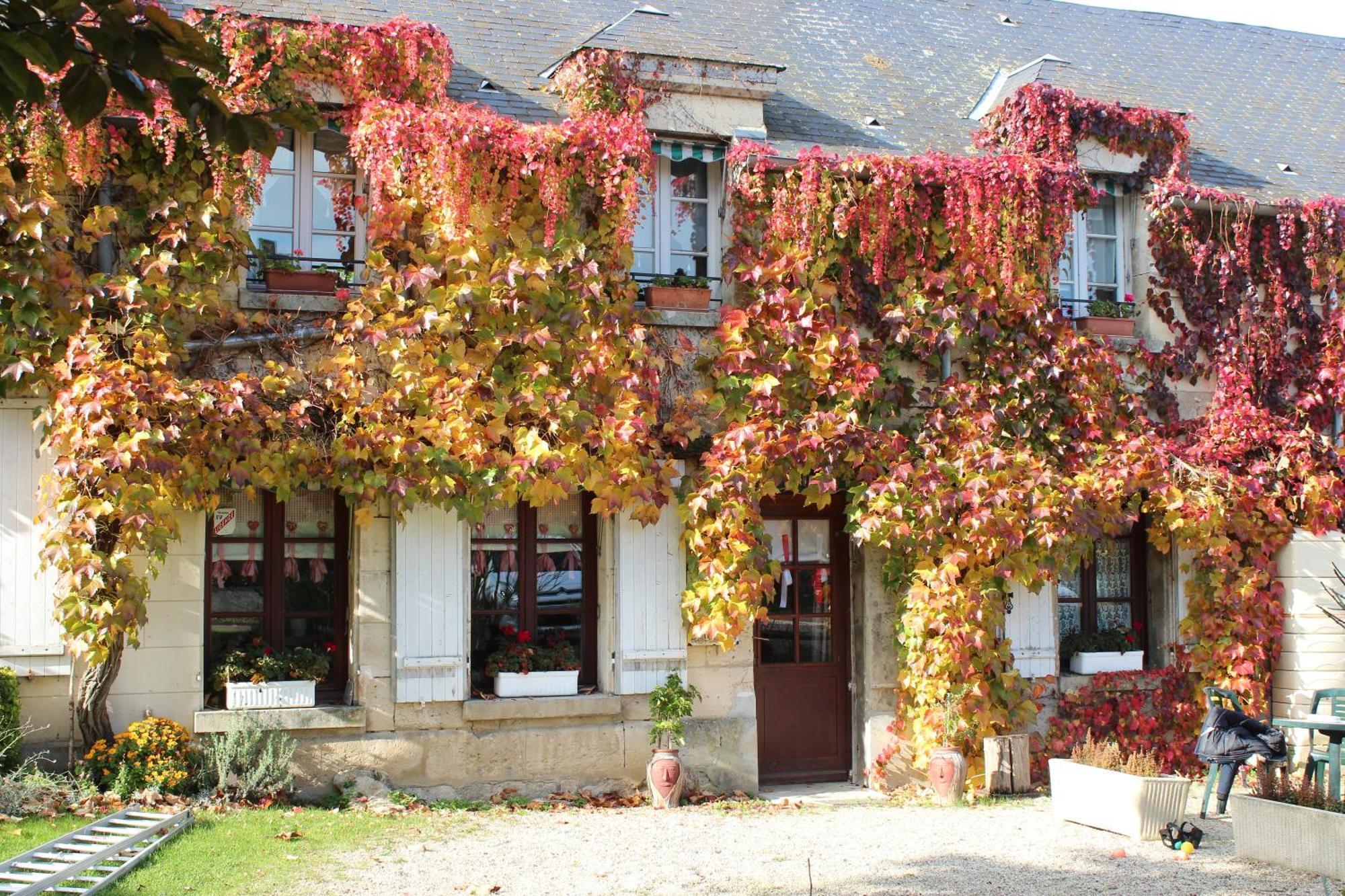 Bed and Breakfast Ma Gentilhommière Croutoy Esterno foto